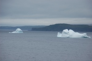 Icebergs off Goose Cove